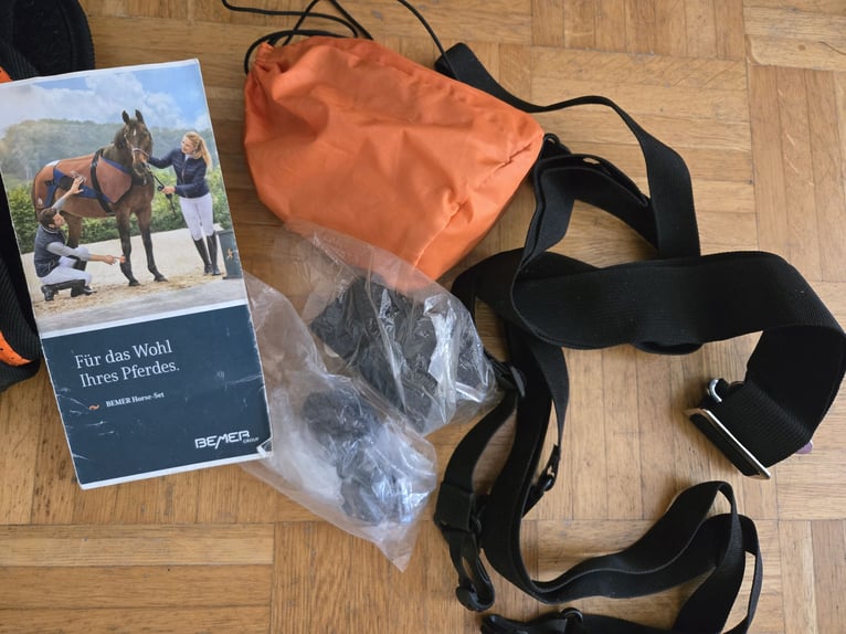 Bemer Horse Set