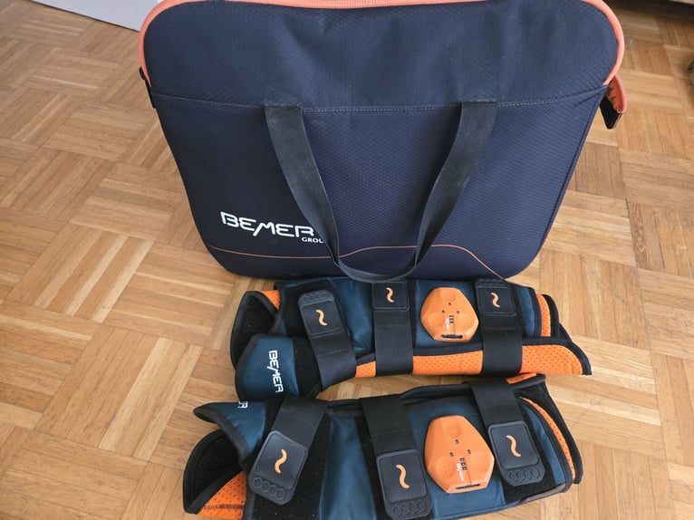 Bemer Horse Set
