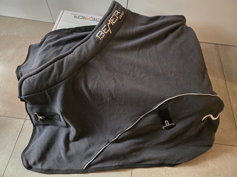 Bemer Horse Set