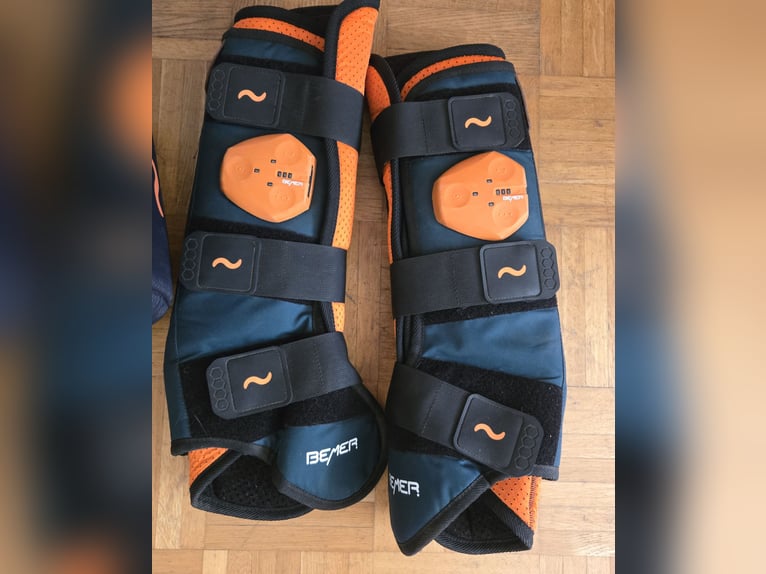 Bemer Horse Set