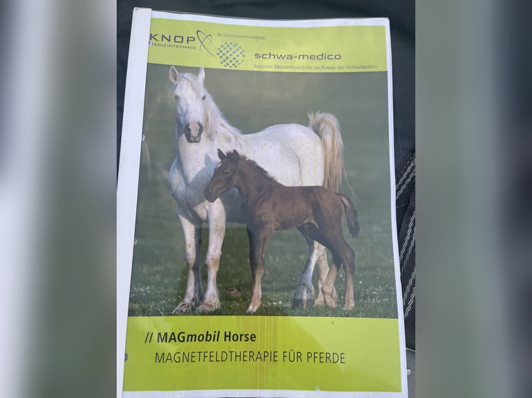 MAGmobil Horse Magnetfelddecke der Firma Knop