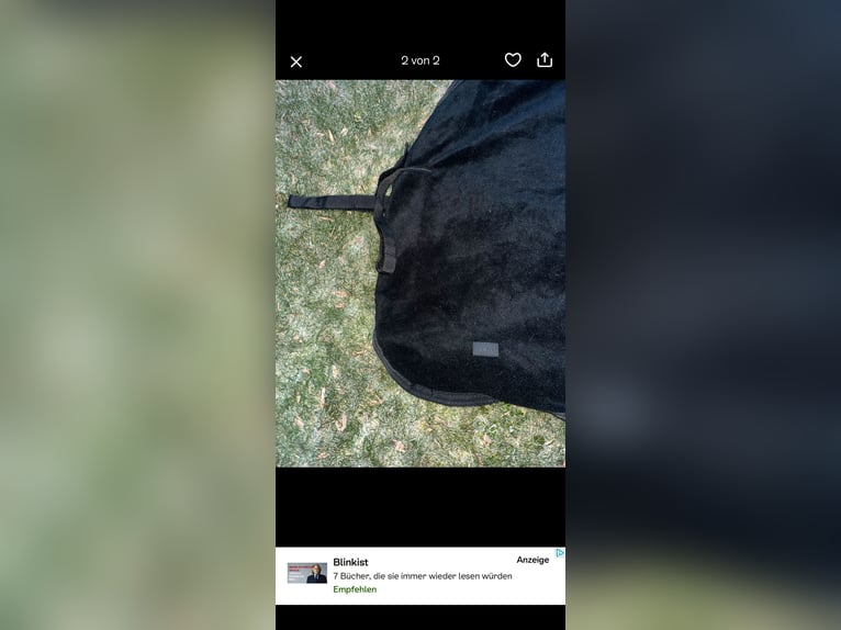 Nierendecke zum Reiten