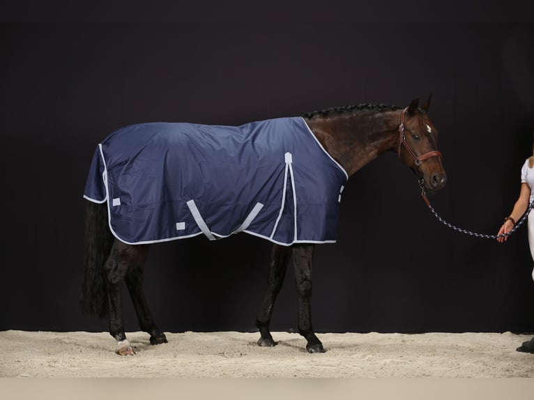 2 Outdoor Rugs 600D-400g 135/185cm