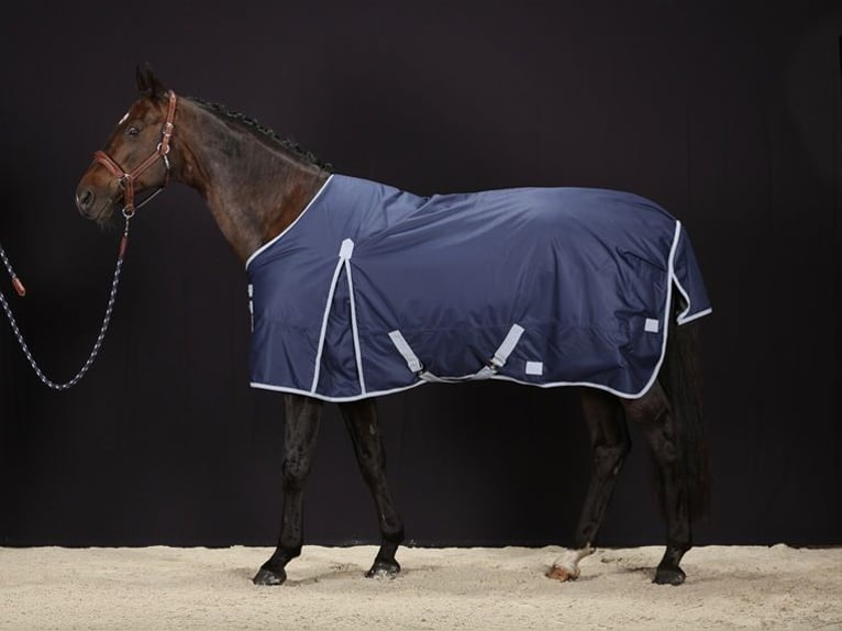 2 Outdoor Rugs 600D-400g 135/185cm
