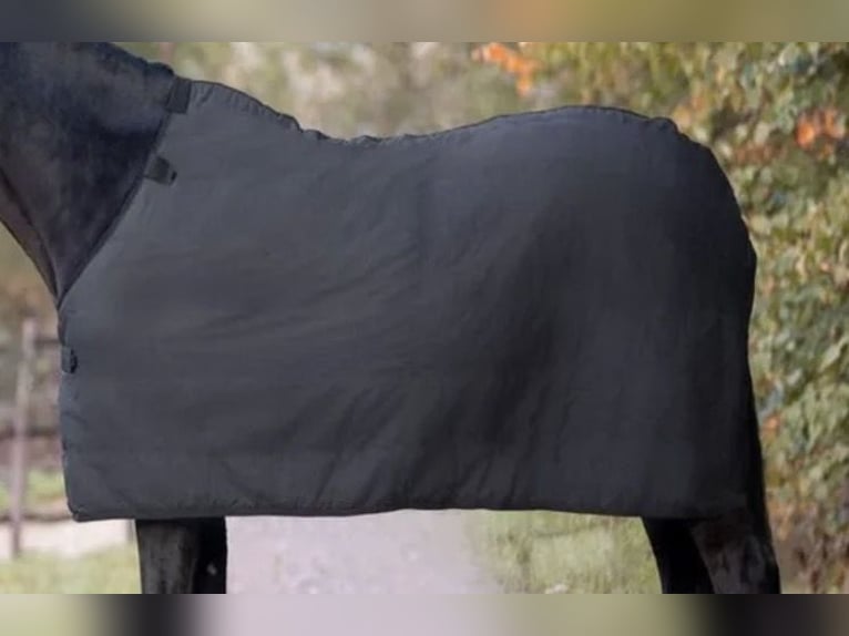 2x Waldhausen Decken Set 