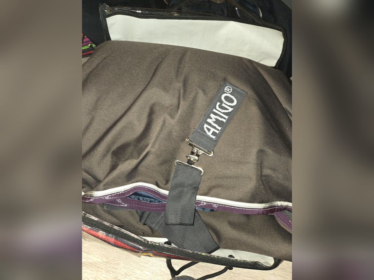 Amigo Turnout 250 g bravo 