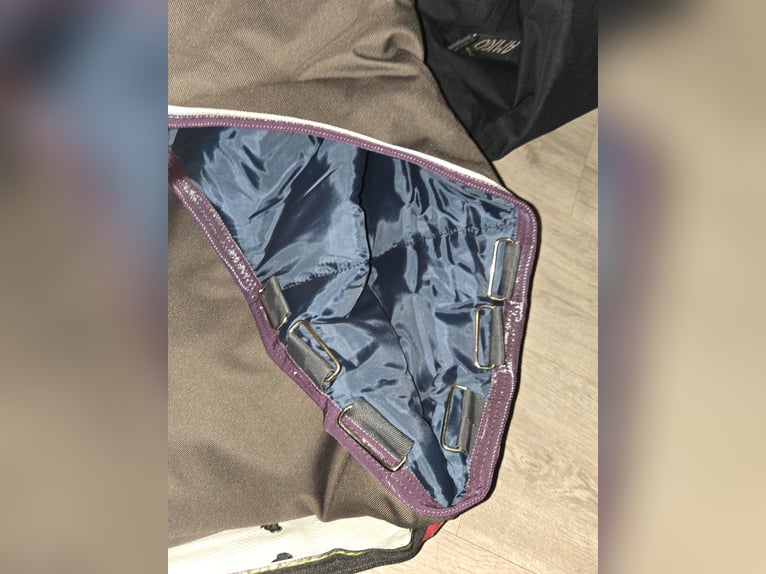 Amigo Turnout 250 g bravo 