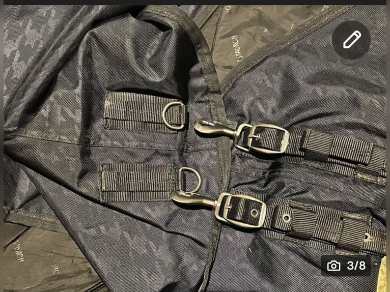 Eskadron turnout 1680 Denier 