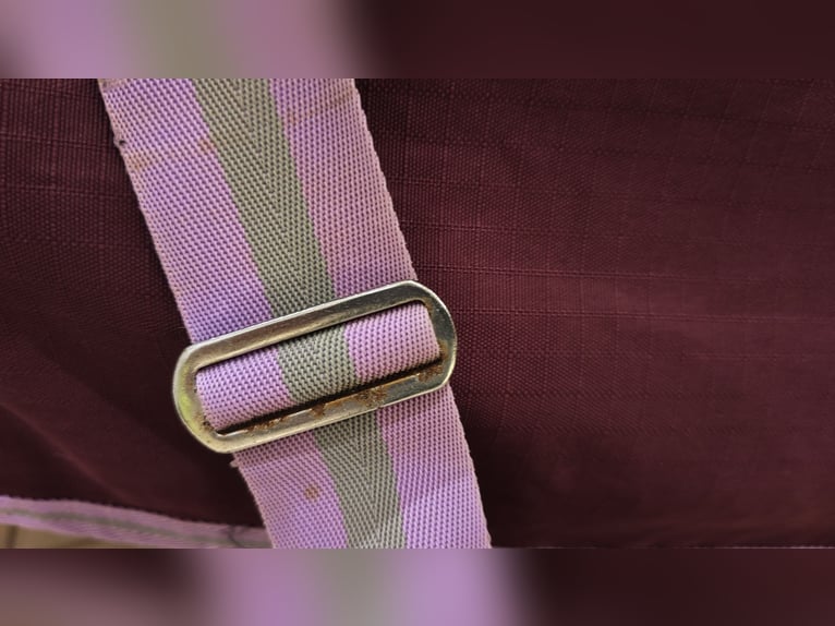 High Neck Outdoordecke 155 cm mit Fleecefutter Brombeer weinrot bordeaux