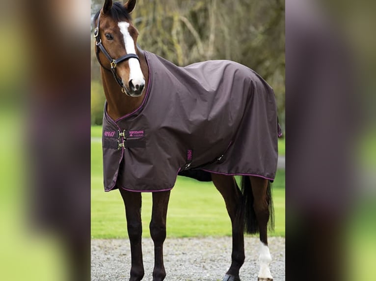 Horseware Amigo ACY Decke