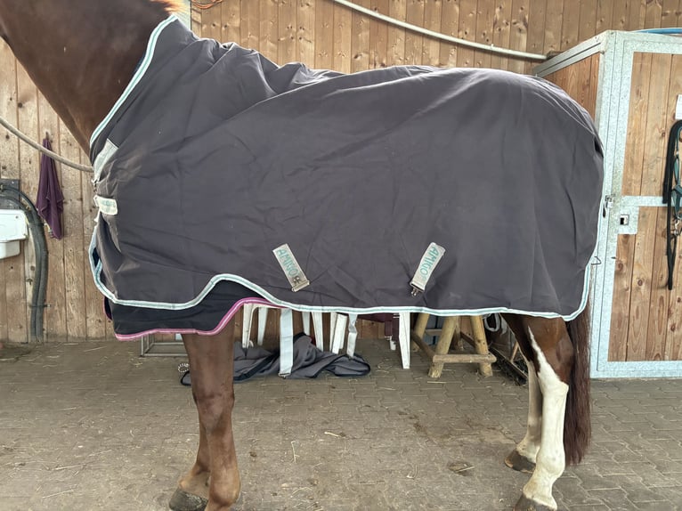 Horseware Amigo Bravo Wug Turnout 250g 145