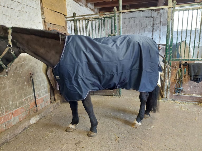 Kavalkade Outdoor Decke Montreal 155cm, 100g,Navy