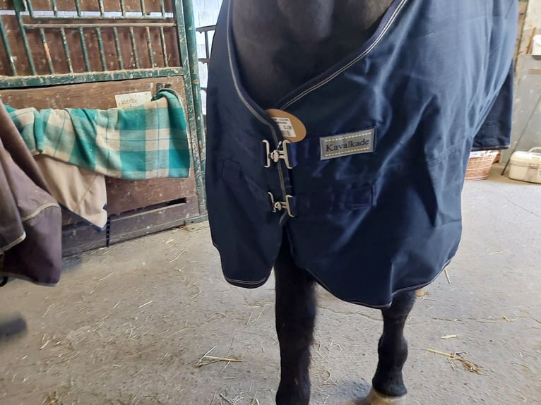 Kavalkade Outdoor Decke Montreal 155cm, 100g,Navy