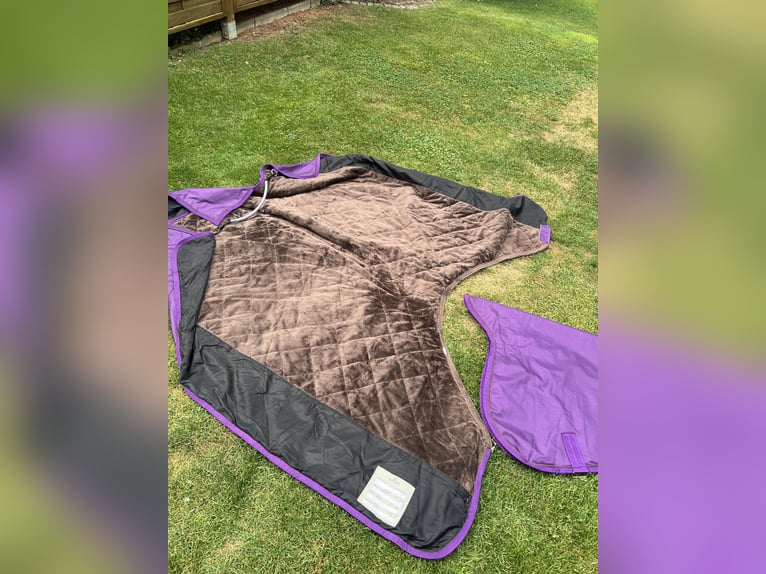 Kentucky Outdoordecke mit Halsteil - All Weather PRO purple 125cm