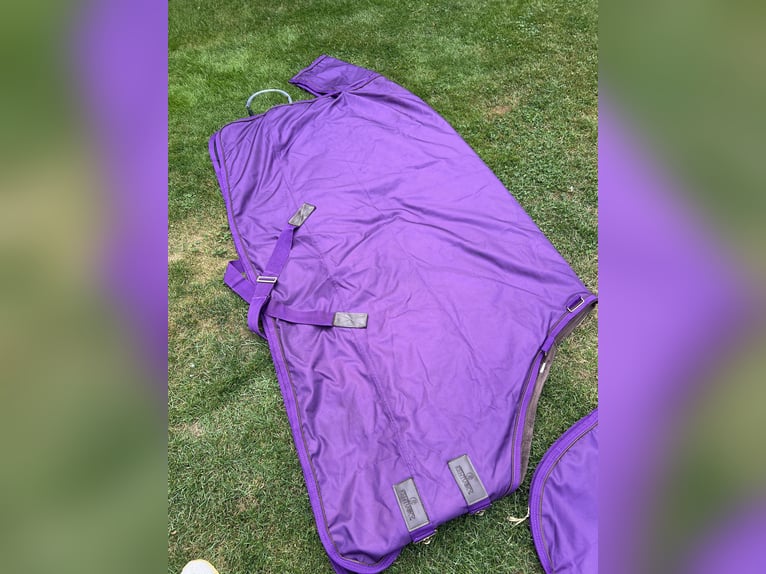 Kentucky Outdoordecke mit Halsteil - All Weather PRO purple 125cm