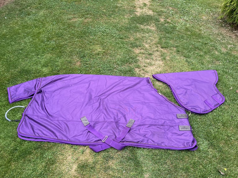 Kentucky Outdoordecke mit Halsteil - All Weather PRO purple 125cm