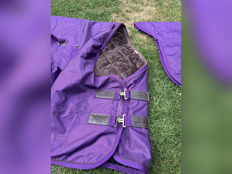 Kentucky Outdoordecke mit Halsteil - All Weather PRO purple 125cm