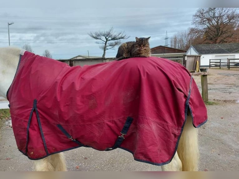 Outdoordecke  mit Fleecefutter  Outdoordecke  mit Fleecefutter