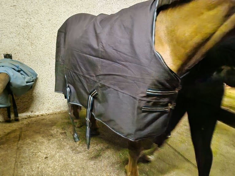 Outdoordecke von 0g-300g