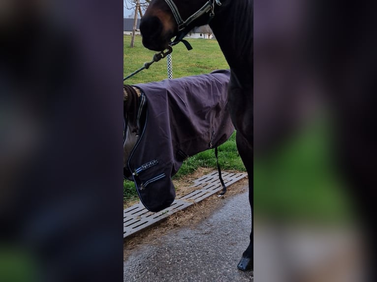 Outdoordecke von 0g-300g