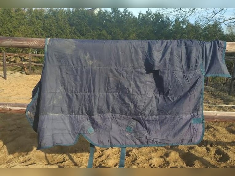 Outdoordecke von Horseware 145 250g