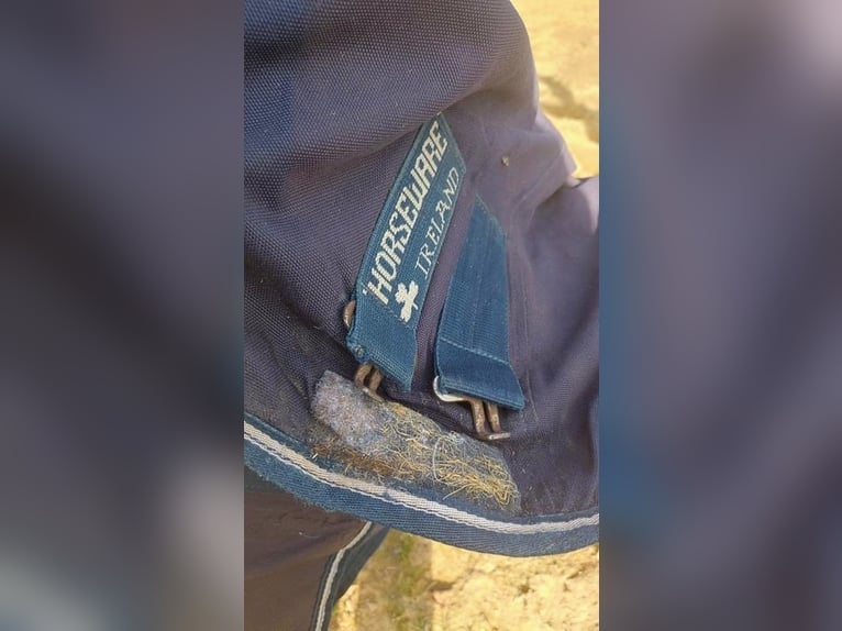 Outdoordecke von Horseware 145 250g