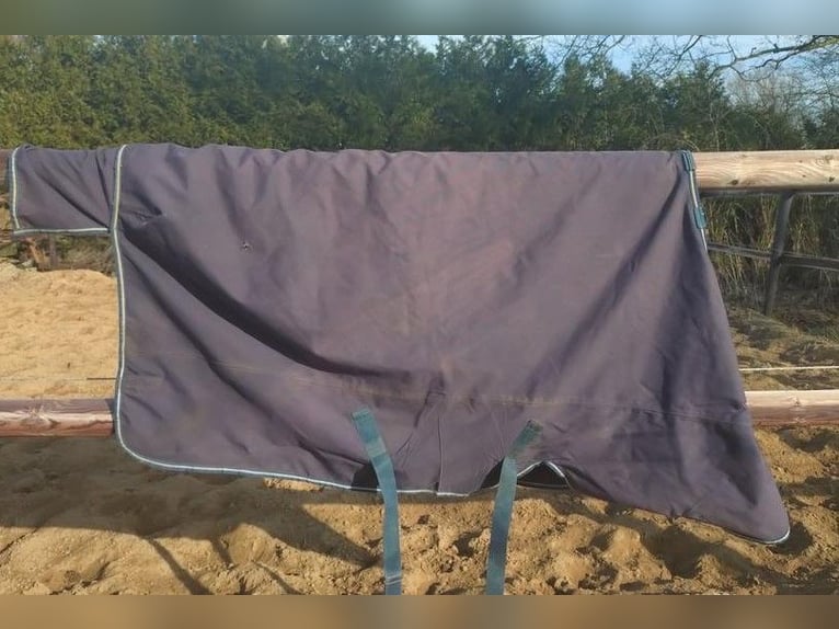 Outdoordecke von Horseware 145 250g