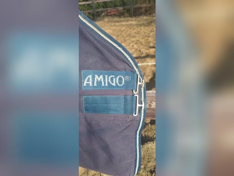 Outdoordecke von Horseware 145 250g