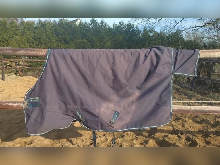 Outdoordecke von Horseware 145 250g