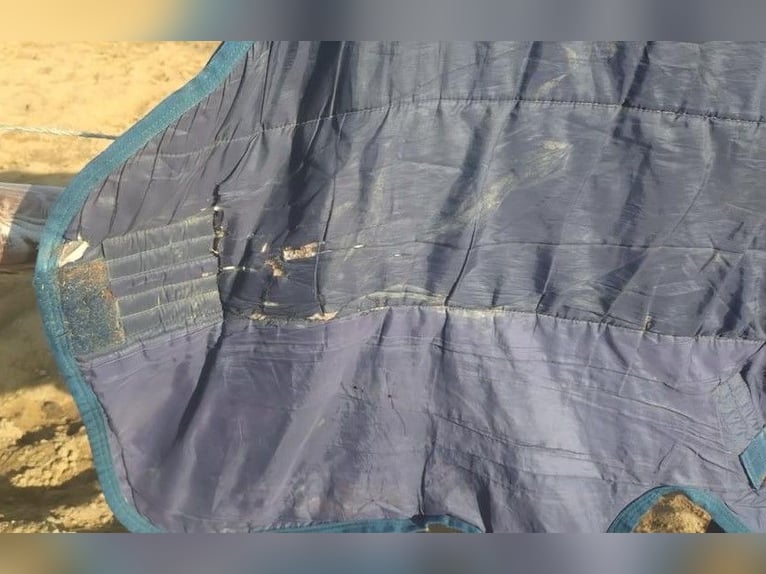 Outdoordecke von Horseware 145 250g