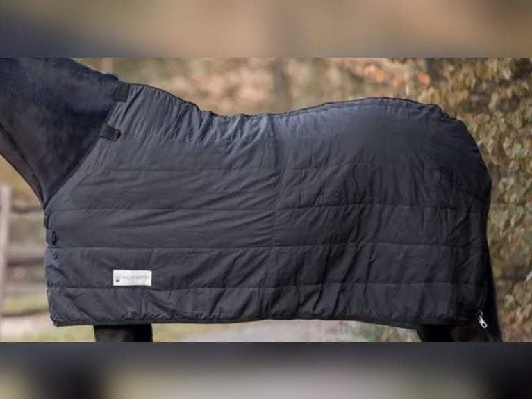 Waldhausen Outdoordecke 