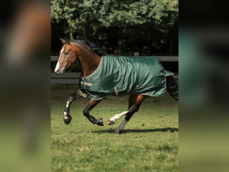 Bucas Outdoordecke Freedom Turnout Light 0 g