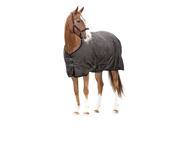 Outdoordecke Horse Guard neu 