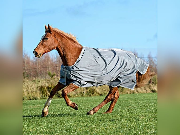 Neue Bucas Smartex Rain 0g Iron Gate Regendecke Outdoordecke 115 