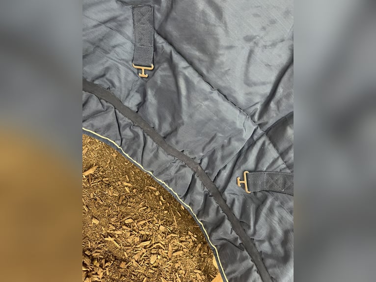 Eskadron Stalldecke gefüttert