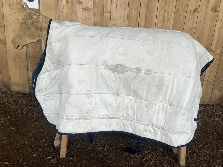 Eskadron Stalldecke gefüttert
