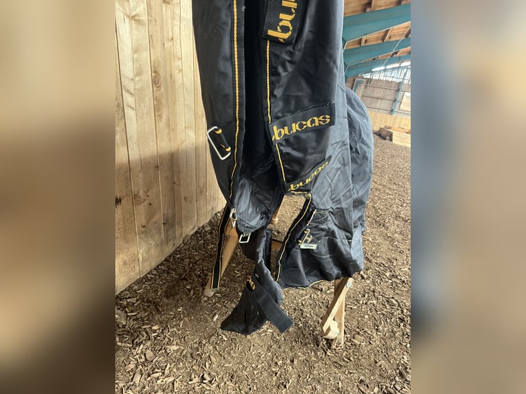 Stalldecke von Bucas