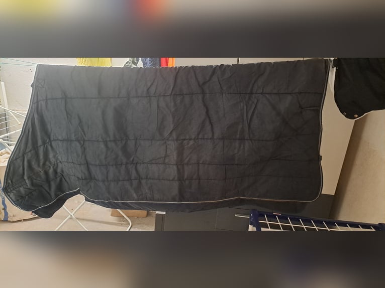 Unterdecke Liner Horseware 