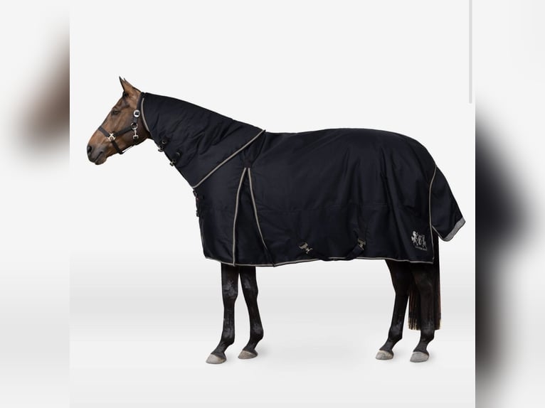 B Vertigo Georgina Winterdecke mit Halsteil 400g
