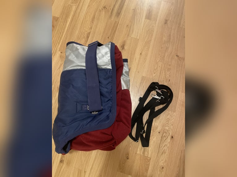 Bucas Power Turnout 125cm 0g