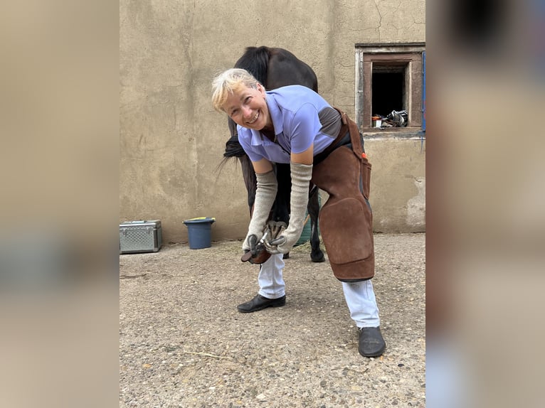 Huforthopädin Huforthopädie Hufbearbeitung Barhuf