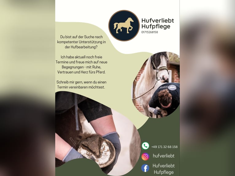 Hufpflege / Barhufbearbeitung 