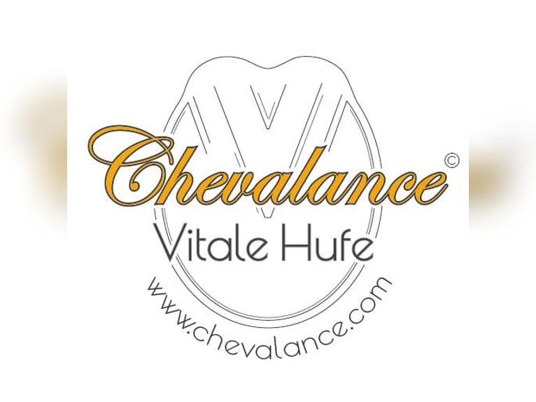 Professionelle Barhufbearbeitung