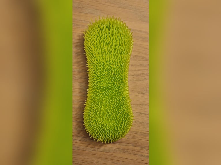 Magic Brush Bürste Neu