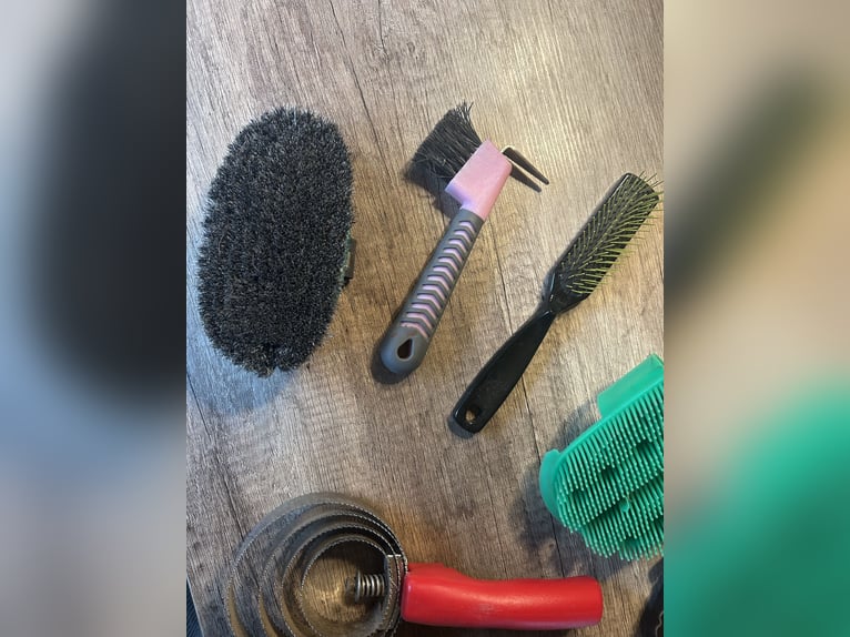 Pferdeputzbox mit Zubehör 