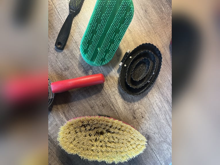 Pferdeputzbox mit Zubehör 