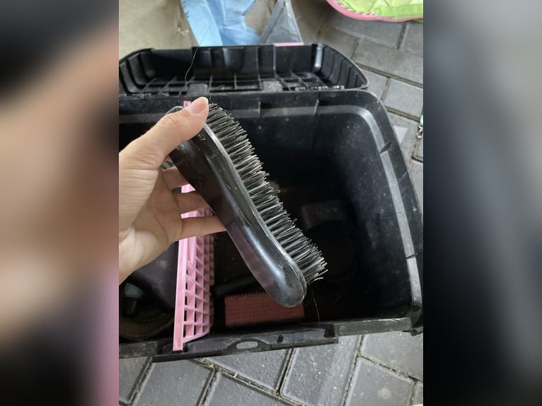 Putzbox mit kompletten Zubehör