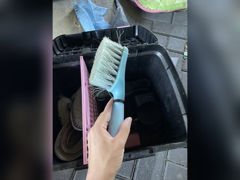 Putzbox mit kompletten Zubehör