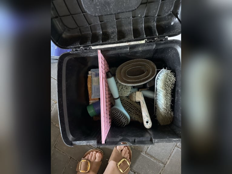 Putzbox mit kompletten Zubehör