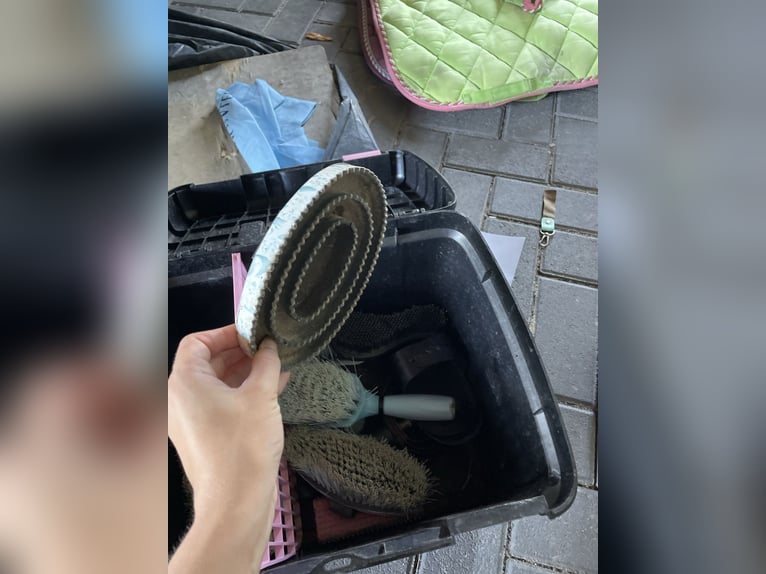 Putzbox mit kompletten Zubehör